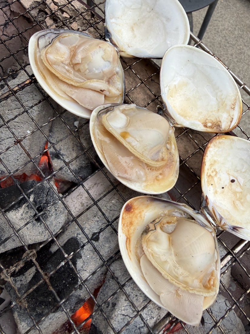 炭火で焼かれて口を開いた九十九里産のはまぐり