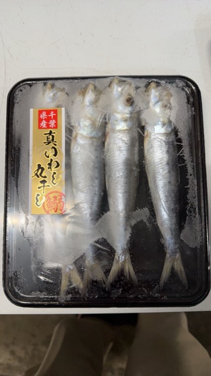 千葉県産 真いわしの丸干し